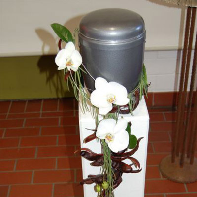 Blumen Weese - Urne mit Orchidee